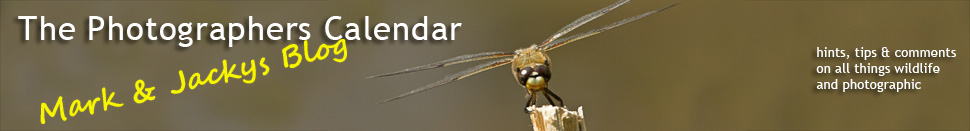 The Photographers Calendar, Mark and Jackys blog, hints tips on all things wildlife and photographic
