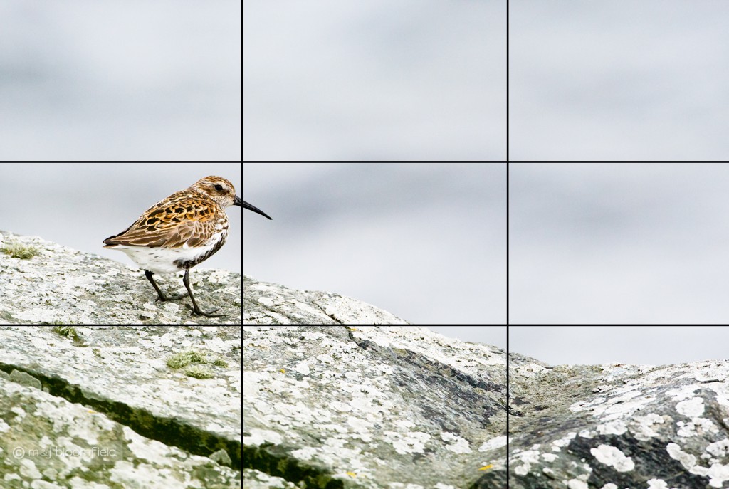 Image showing rule of thirds