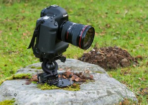Platypod Pro with Canon 1D in field