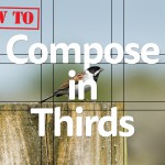 Title photograph How To compose in thirds