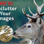 How To: Declutter Your Images