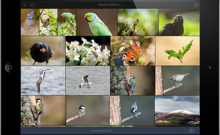 Lightroom interface