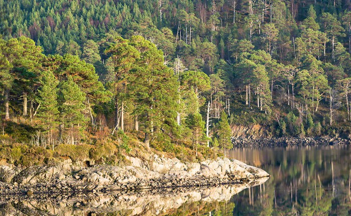 Landscape of Loch Beinn