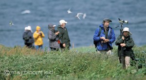 Older generation enjoying birdwatching