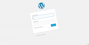 Screen shot Wordpress login screen