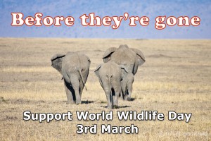 Celebrate world wildlife day on 3 March 2016