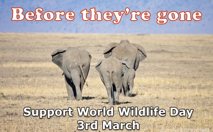 Celebrate world wildlife day on 3 March 2016