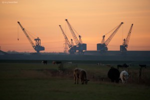 Industrial Kent from - RSPB Elmley