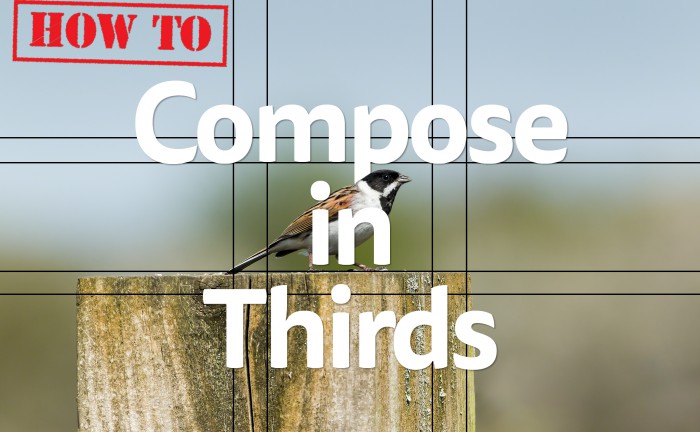 Title photograph How To compose in thirds