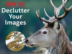 How To: Declutter Your Images