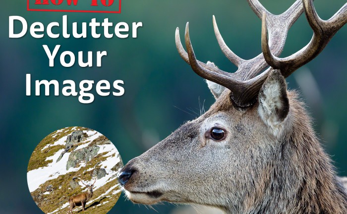 How To: Declutter Your Images