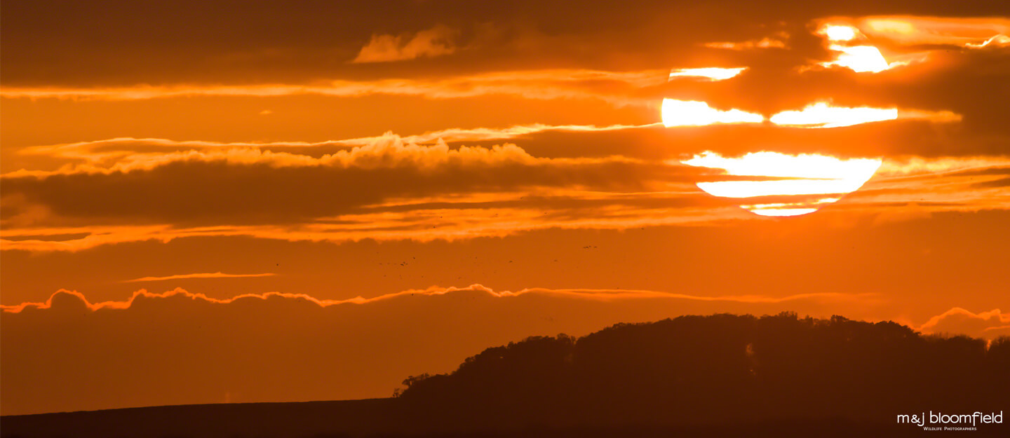 Landscape picture of the sun setting over the North Norfolk countryside taken by Mark and Jacky Bloomfield photographers
